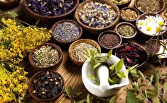 صفر تا صد پرورش گیاهان دارویی