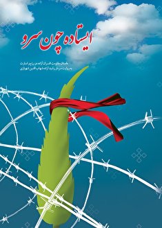 ایستاده چون سرو