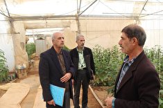 پیشکسوت مرتضی نامداری موسی آبادی