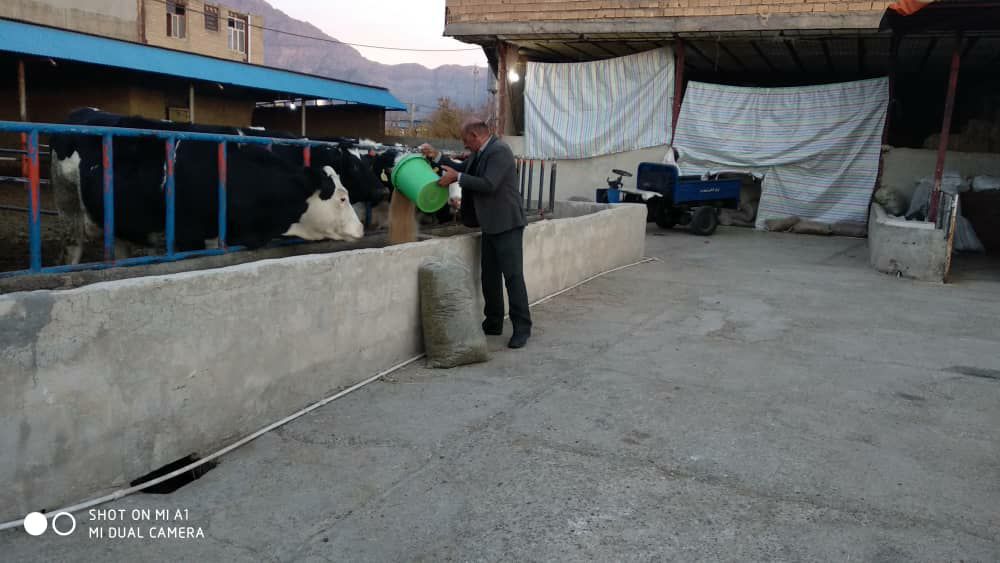 گفت گو با پیشکسوت کارآفرین سرگرد ملک نیاز مالزیری در حال حاضر در حوزه دامپروری وتولید گوشت ولبنیات مشغول خدمت به کشورهستم گفت گو با پیشکسوت کارآفرین سرگرد ملک نیاز مالزیری در حال حاضر در حوزه دامپروری وتولید گوشت ولبنیات مشغول خدمت به کشورهستم