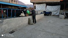 پیشکسوت کارآفرین سرگرد ملک نیاز مالزیری